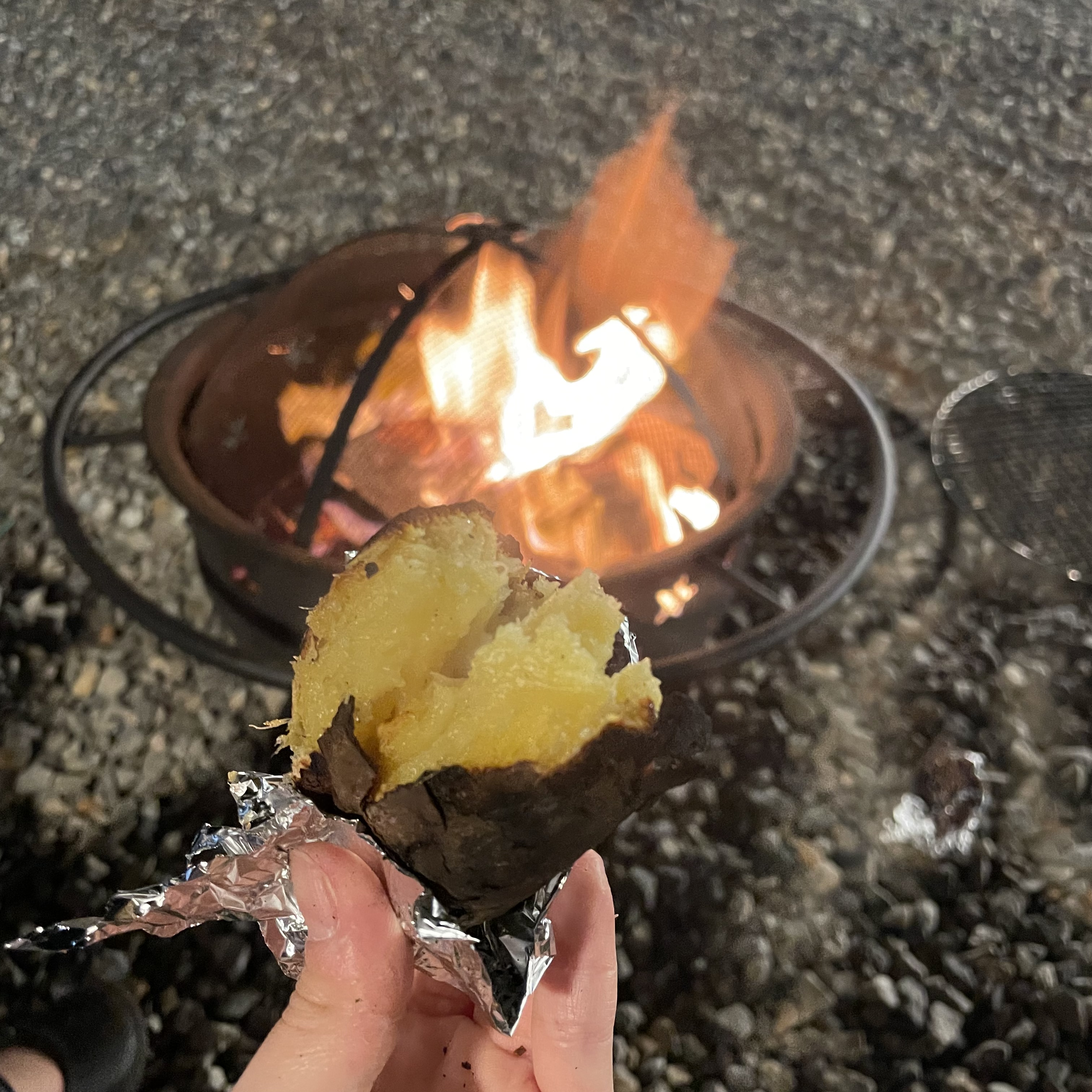 영흥도 하버드카라반 | 인터파크 투어